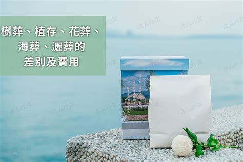 海葬 風水|影／環保葬／風水師：樹葬生魂若不安寧 恐影響後代子孫運勢